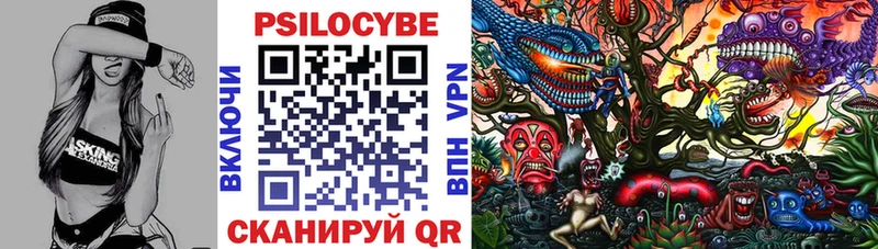 Галлюциногенные грибы Psilocybe  Белоусово 